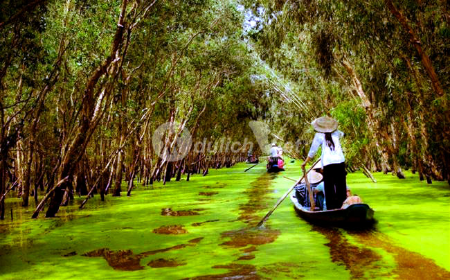 Du lịch Mùa Nước Nổi